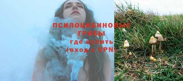 мяу мяу мука Новодвинск