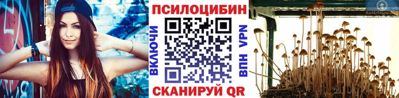 Псилоцибиновые грибы прущие грибы  Купить  Суворов 